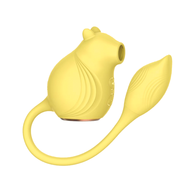 New type of charging little squirrel vibrator