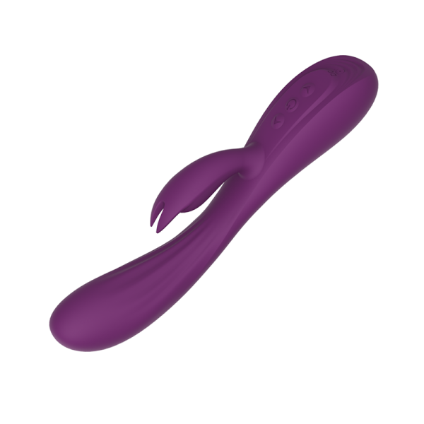 Variable frequency charging double shock G-spot vibrator Rabbit AV Massage stick - Image 6